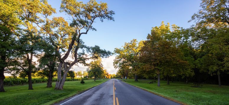 8 Top-Rated Campsites Near Niagara Falls