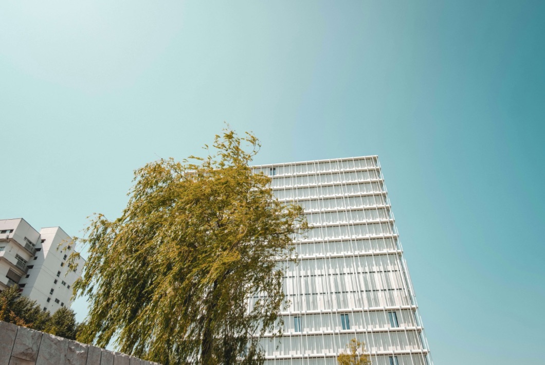 Photo by Grischa via Unsplash