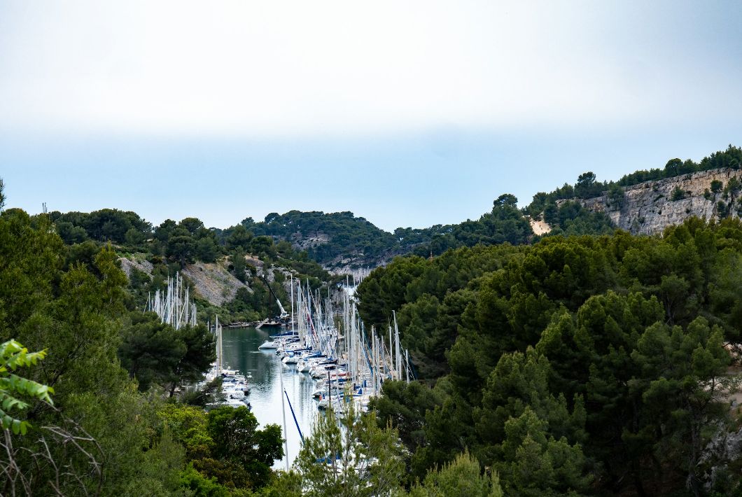 <b>Photo by Steve LEDEME on Unsplash</b>