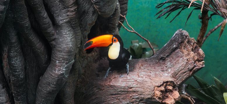 17 Best Zoos in the United States