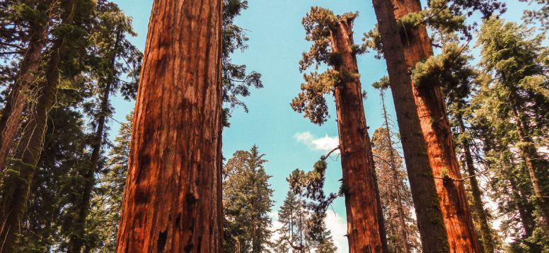 Top 70 Most Beautiful National Parks in the World