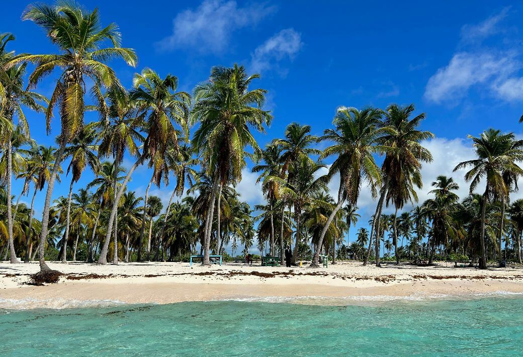 Photo by Stefan Hale on Unsplash