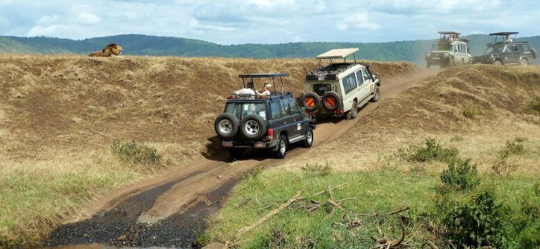 Top 10 Safari Tours - Safari Destinations in Tanzania