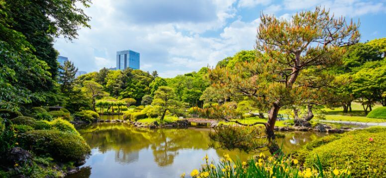 10 Things To Do In Tokyo - An Expert Guide