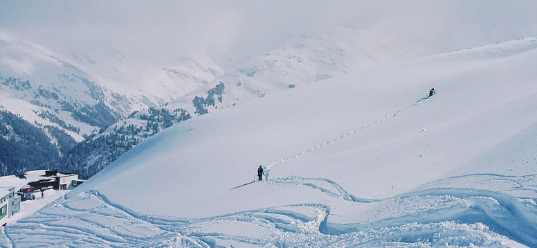 Foto von Naomi Hutchinson auf Unsplash