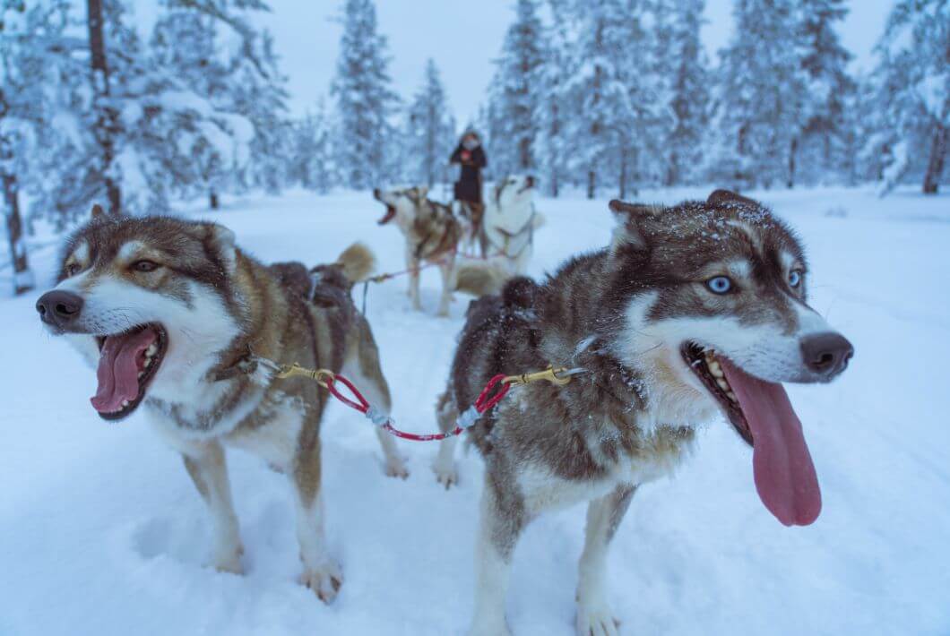 Image by Ugur Arpaci via Unsplash