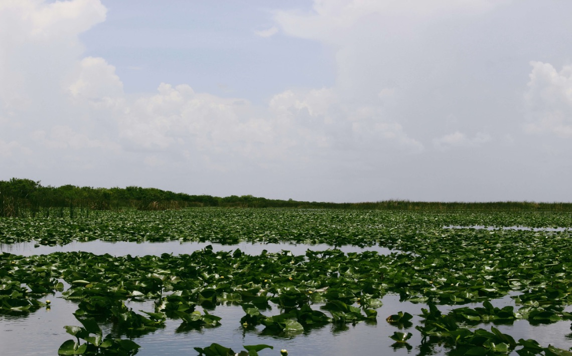 What Airport Is Closest To Everglades National Park airporttransfer.com