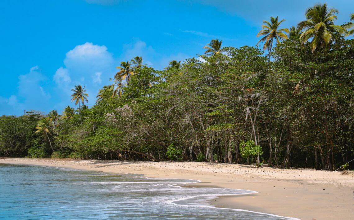 St. Lucia Airport to Gros Islet Private Car, Taxi, Bus